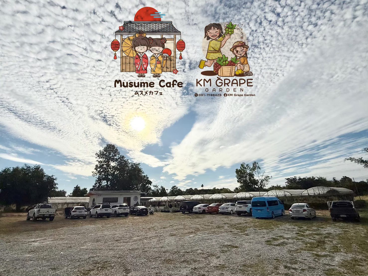 ภาพบรรยากาศ KM Grape Garden Mukdahan ลำดับที่ 9