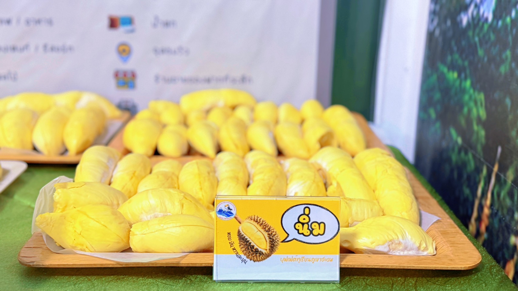 ภาพบรรยากาศ วิสาหกิจชุมชนท่องเที่ยวเกษตรเชิงอนุรักษ์ชะอม ลำดับที่ 6