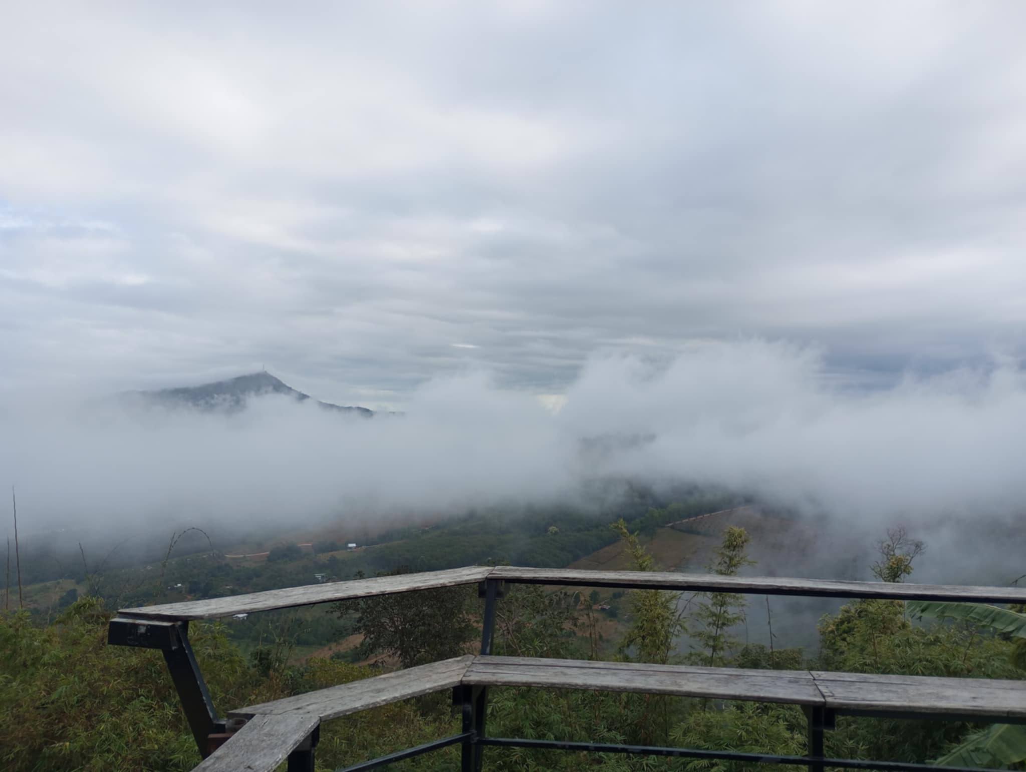 ภาพบรรยากาศ ไร่แฟนฉันกาแฟห้อยขา ลำดับที่ 10