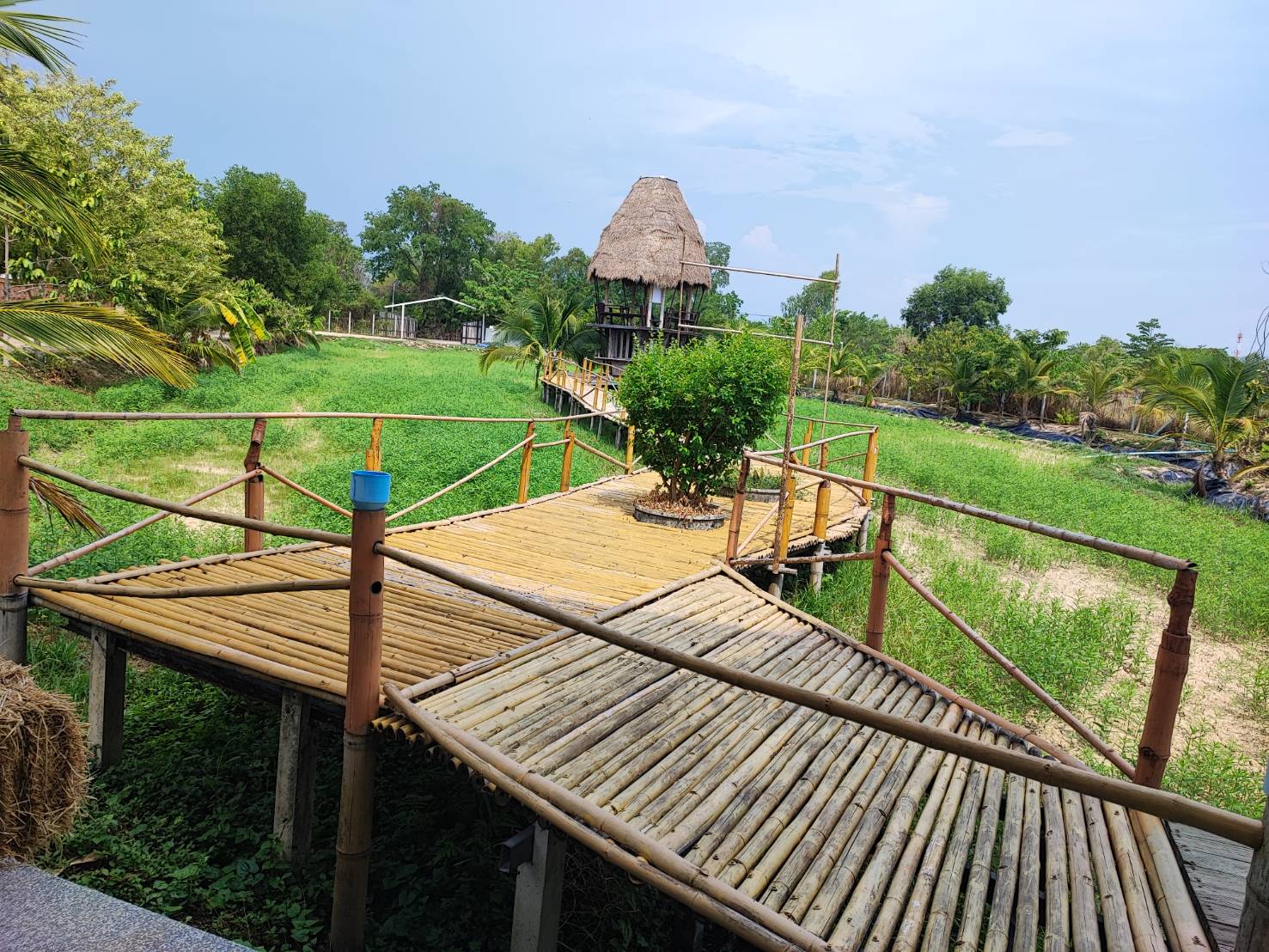ภาพบรรยากาศ DooDo Backyard Farm ลำดับที่ 1