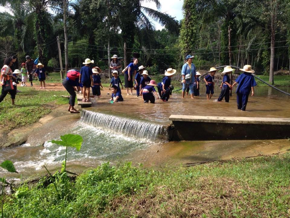 ภาพบรรยากาศ บ้านน้อยกลางป่าใหญ่ ลำดับที่ 2