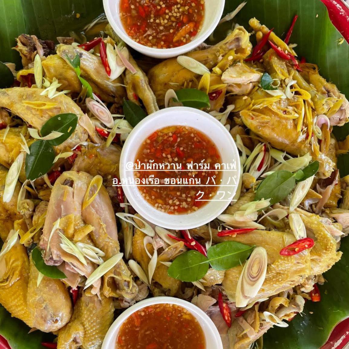 ภาพบรรยากาศ เครือข่ายวิสาหกิจชุมชนท่องเที่ยวเชิงเกษตรอำเภอหนองเรือ ลำดับที่ 9