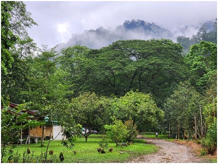 ภาพบรรยากาศ บ้านสวนคลองมะเดื่อ นครนายก ลำดับที่ 11