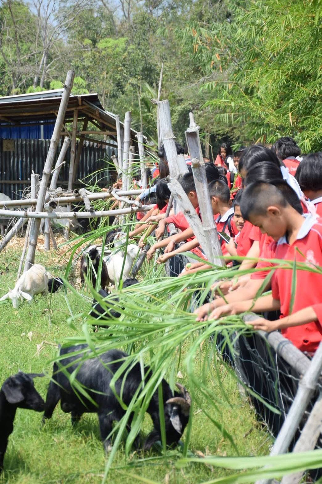 ภาพบรรยากาศ บ้านจ่าก้อง ลำดับที่ 9