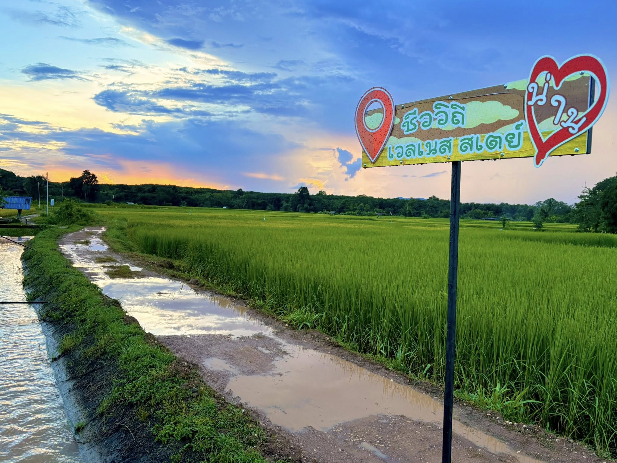 ภาพบรรยากาศ วิสาหกิจชุมชนชีววิถีตำบลน้ำเกี๋ยน ลำดับที่ 6