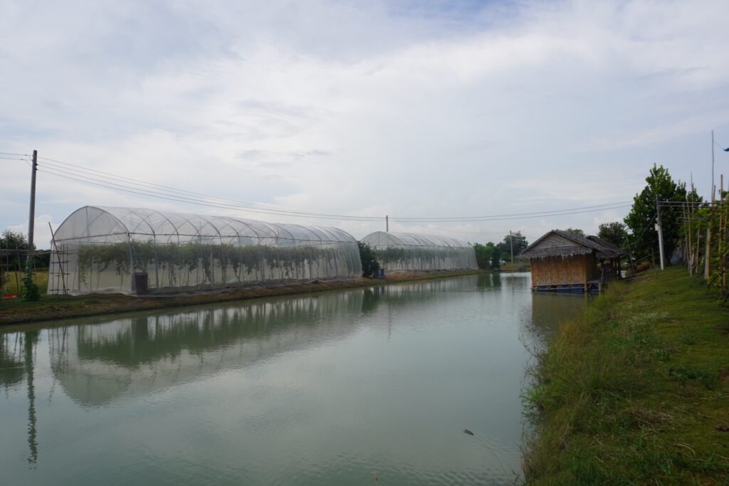 ภาพบรรยากาศ ไร่นาสวนผสมคุณพิมพ์พร ลำดับที่ 2