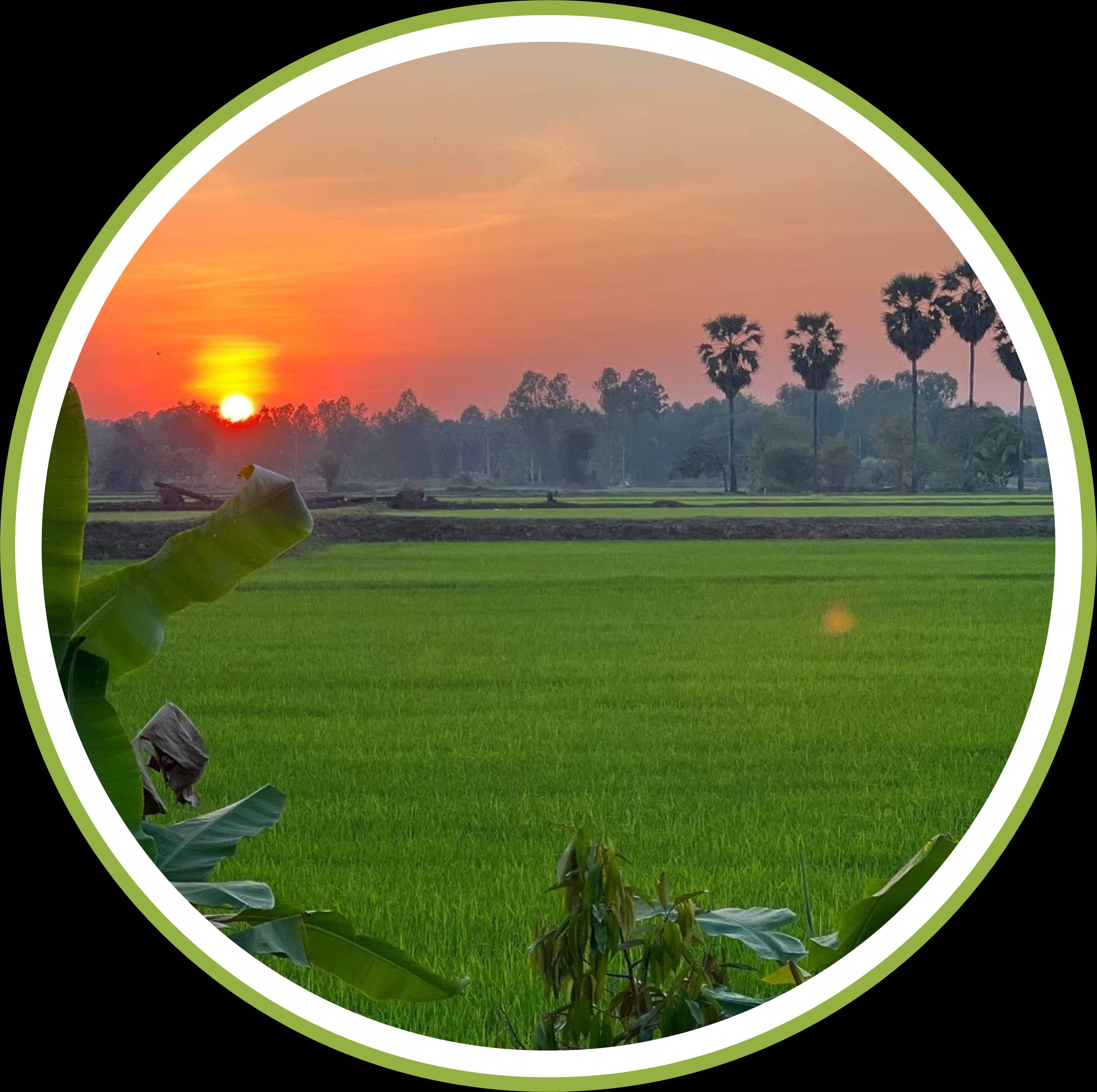 วิสาหกิจชุมชนท่องเที่ยวเชิงเกษตรบ้านท่าช้าง พิษณุโลก