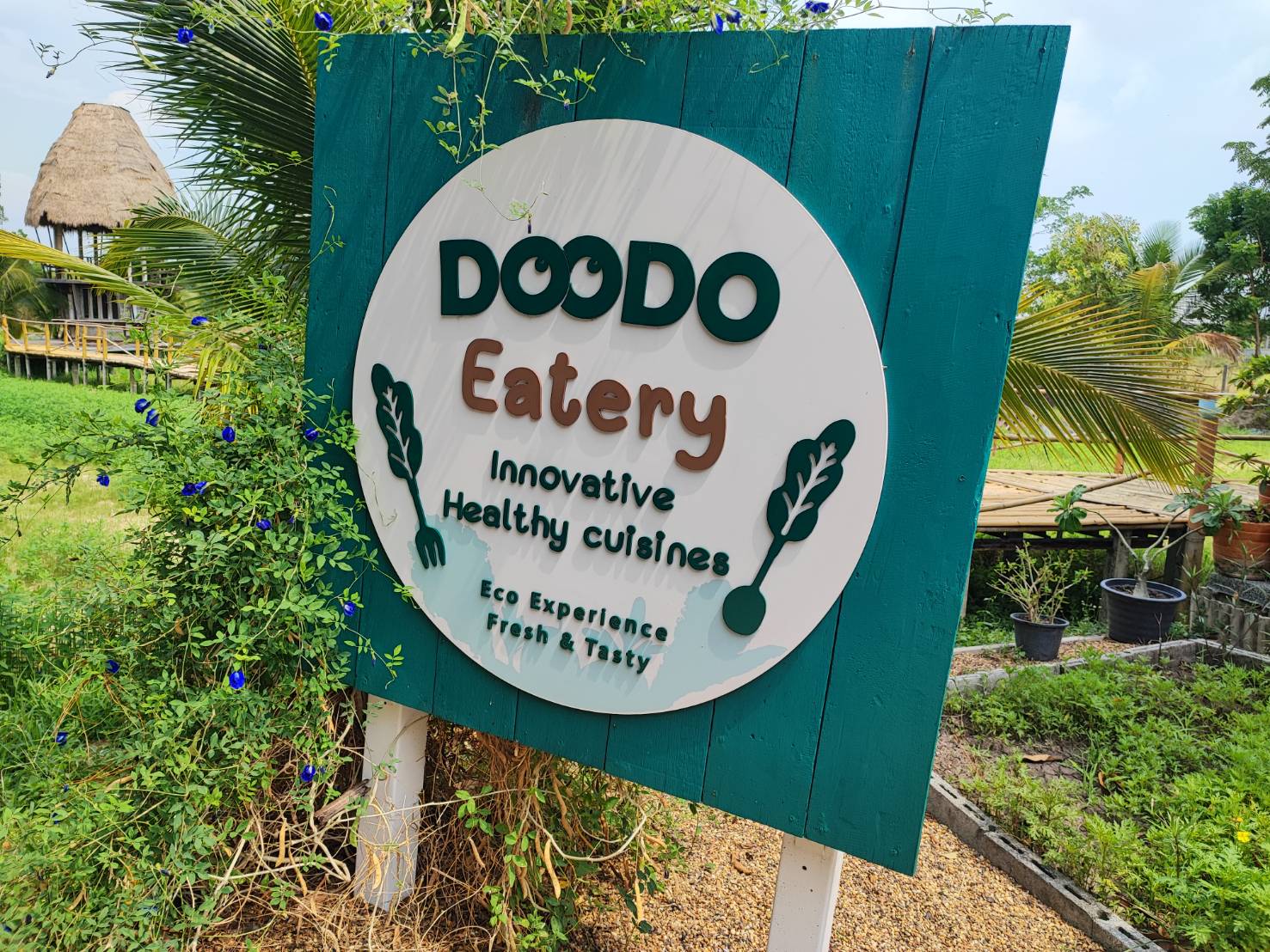 DooDo Backyard Farm