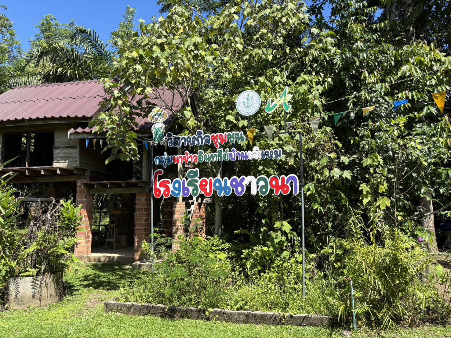 วิสาหกิจชุมชนกลุ่มนาข้าวอินทรีย์บ้านเจ๊ะเหม (โรงเรียนชาวนา)
