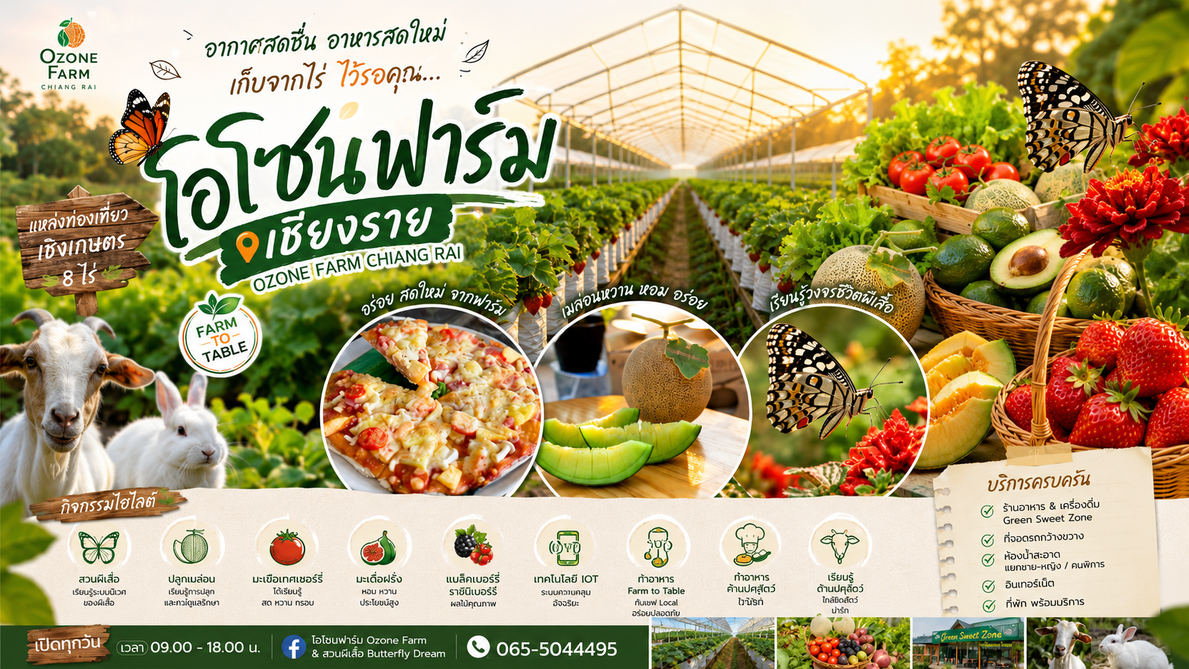 วิสาหกิจชุมชนเกษตรสมาร์ทฟาร์ม อำเภอแม่จัน (โอโซนฟาร์ม)