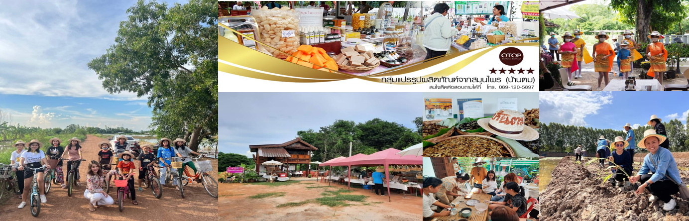 วิสาหกิจชุมชนกลุ่มแปรรูปผลิตภัณฑ์จากสมุนไพรบ้านตม