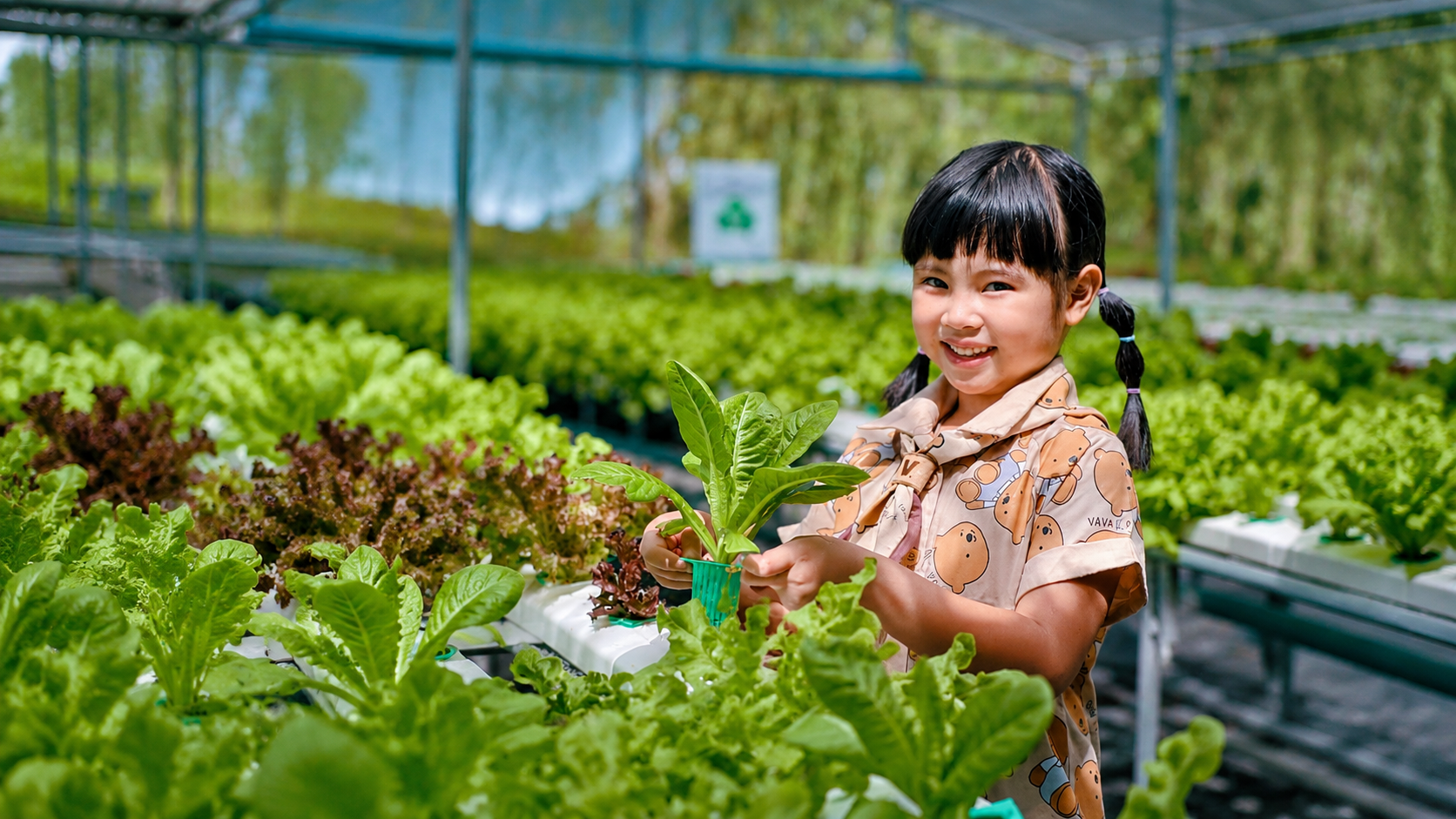กรีนวิลล์ ฟาร์มคาเฟ่