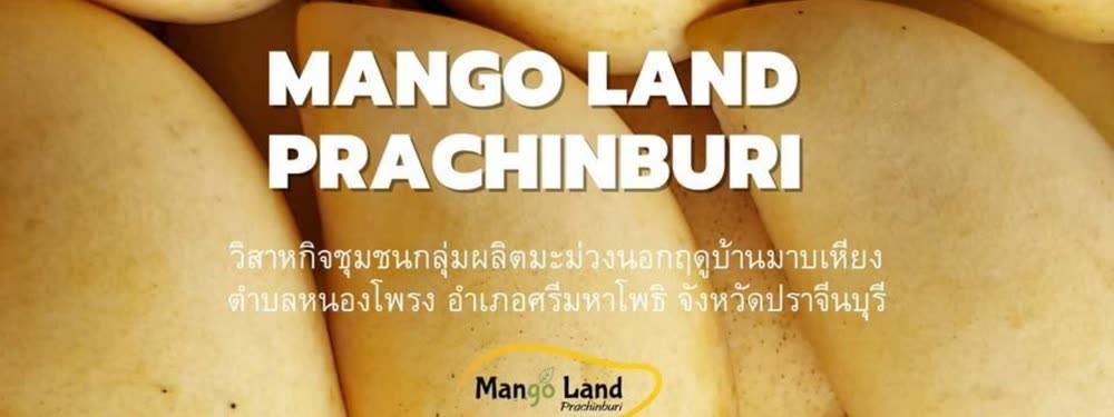 วิสาหกิจชุมชนกลุ่มผลิตมะม่วงนอกฤดูบ้านมาบเหียง