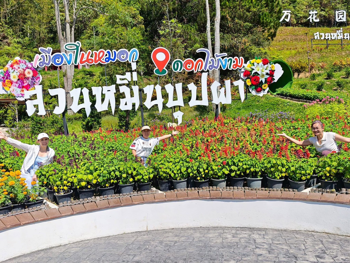 วิสาหกิจชุมชนกลุ่มดอกไม้ดอกเมืองหนาวบ้าน ปิยะมิตร 2
